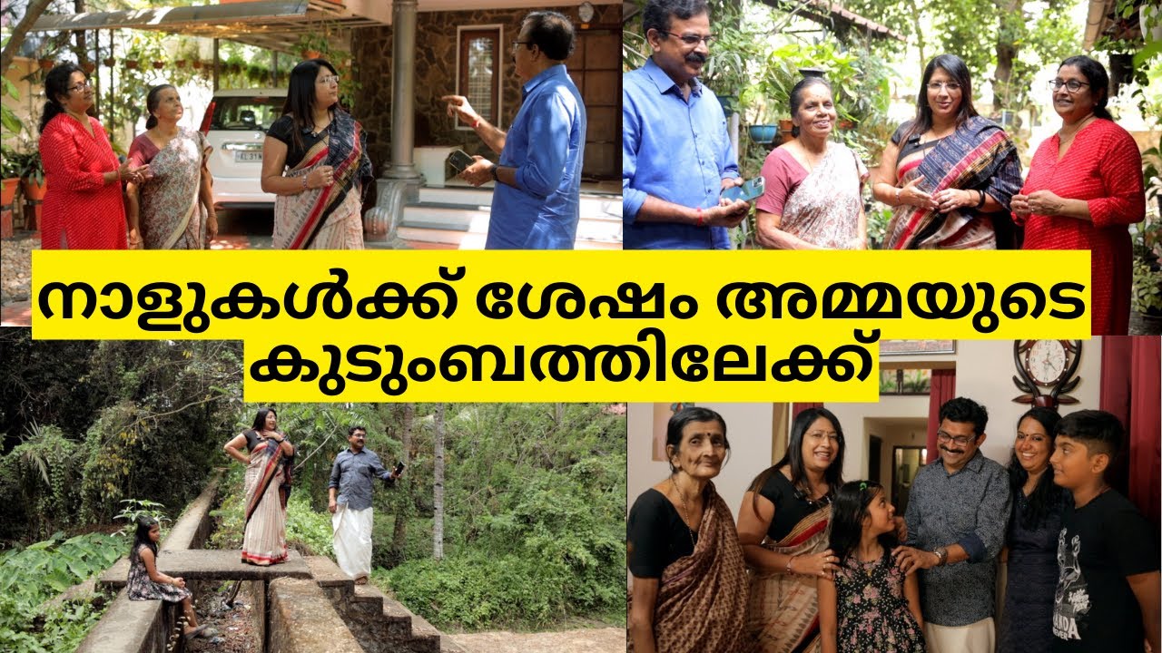 ഇനി രണ്ടു ദിവസം അമ്മയുടെ കുടുംബത്തോടൊപ്പം മാവേലിക്കരയിൽ | FAMILY VLOG