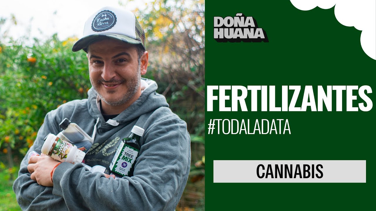 CANNABIS - FERTILIZANTES ORG&Aacute;NICOS VS FERTILIZANTES MINERALES