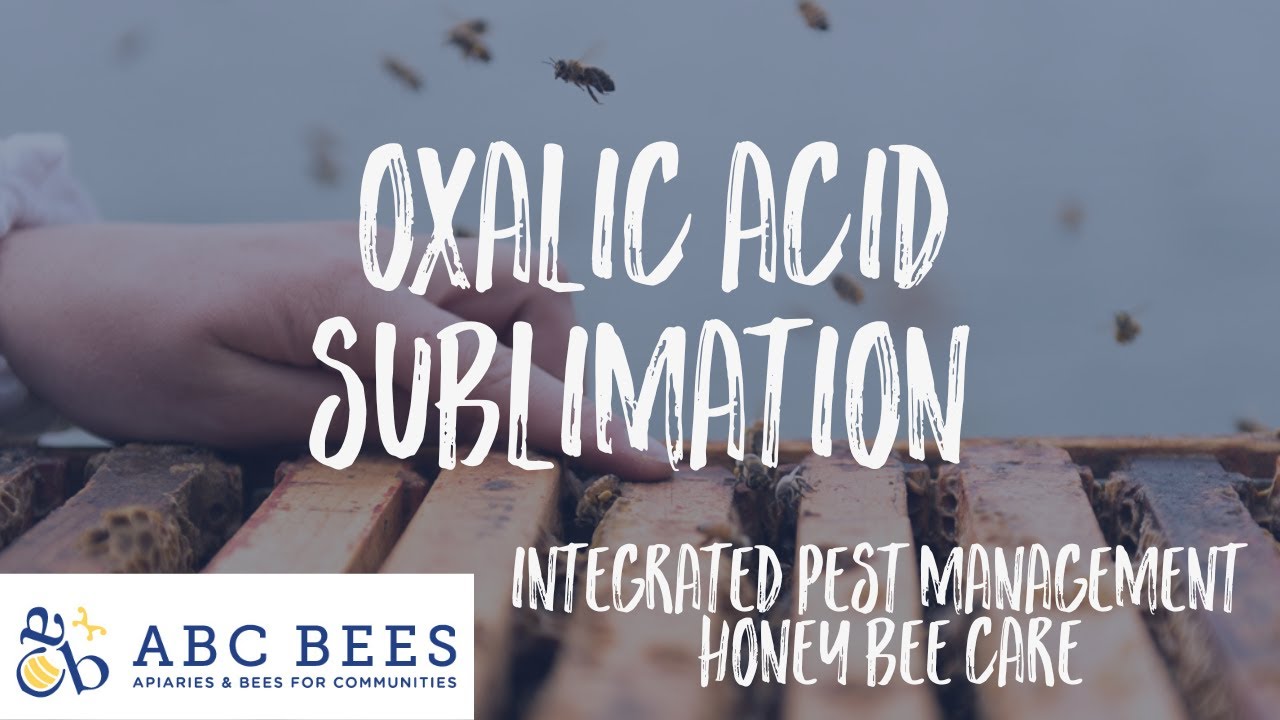 Oxalic Acid Sublimation - What they don't tell you.