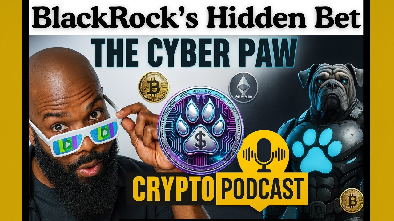 Подкаст Cyber ​​Paw | Union Square Ventures, Multicoin и миллиардная ставка на доказательства с н...
