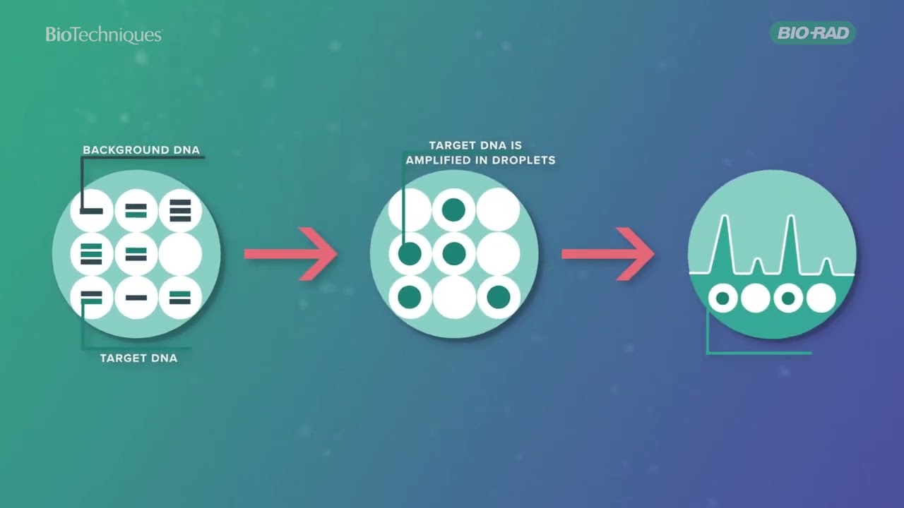 An introduction to Droplet Digital PCR