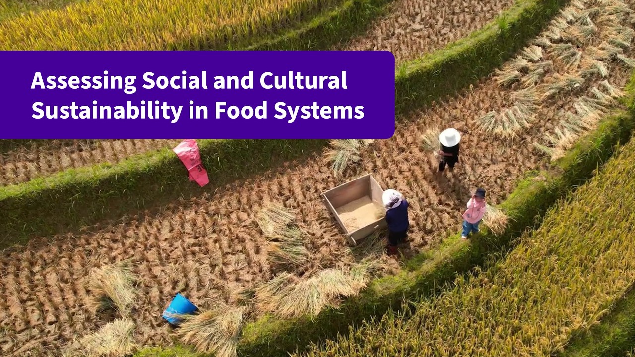 Assessing Social and Cultural Sustainability in Food Systems