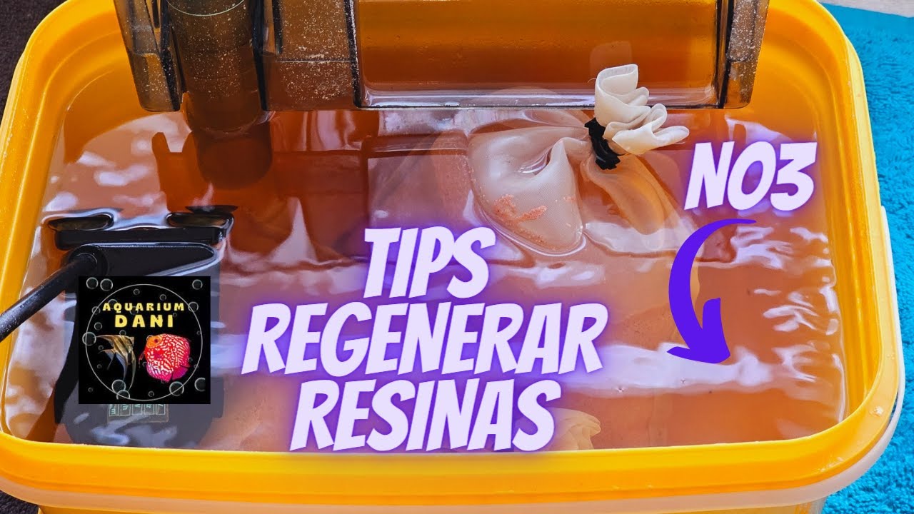 TIPS REGENERAR RESINAS NO3 ACUARIO DE AGUA DULCE, ACUARIO TROPICAL, PECES DISCO, ALTUMS.