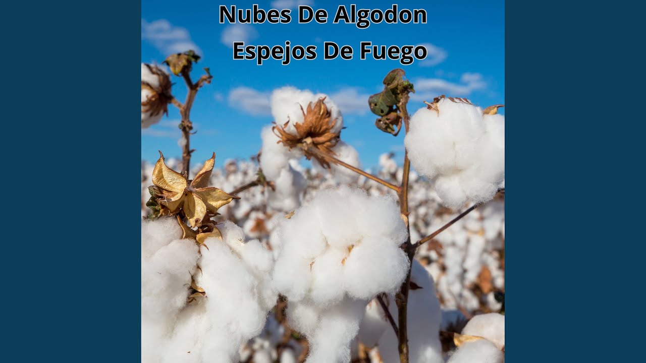 Nube de Algodón