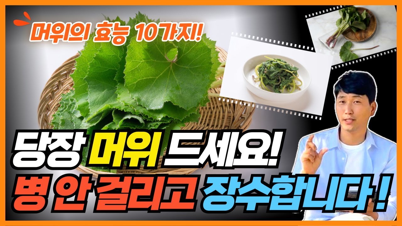 머위를 자주 먹으면 일어나는 일 10가지! 머위의 놀라운 효능! 당장 머위 드세요! 병 안 걸리고 장수합니다!