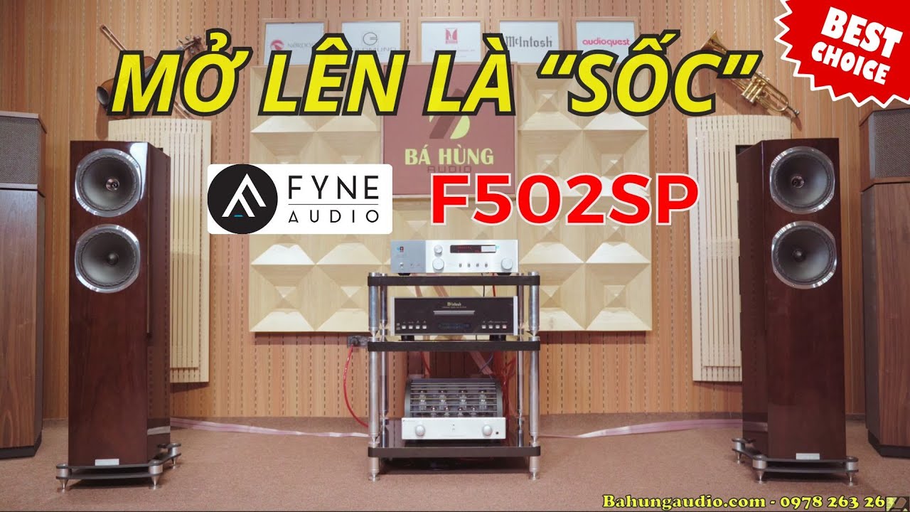 MỞ LÊN LÀ “SỐC”, ÂM TRƯỜNG RỘNG KHÔNG NGỜ | Loa Fyne Audio F502SP