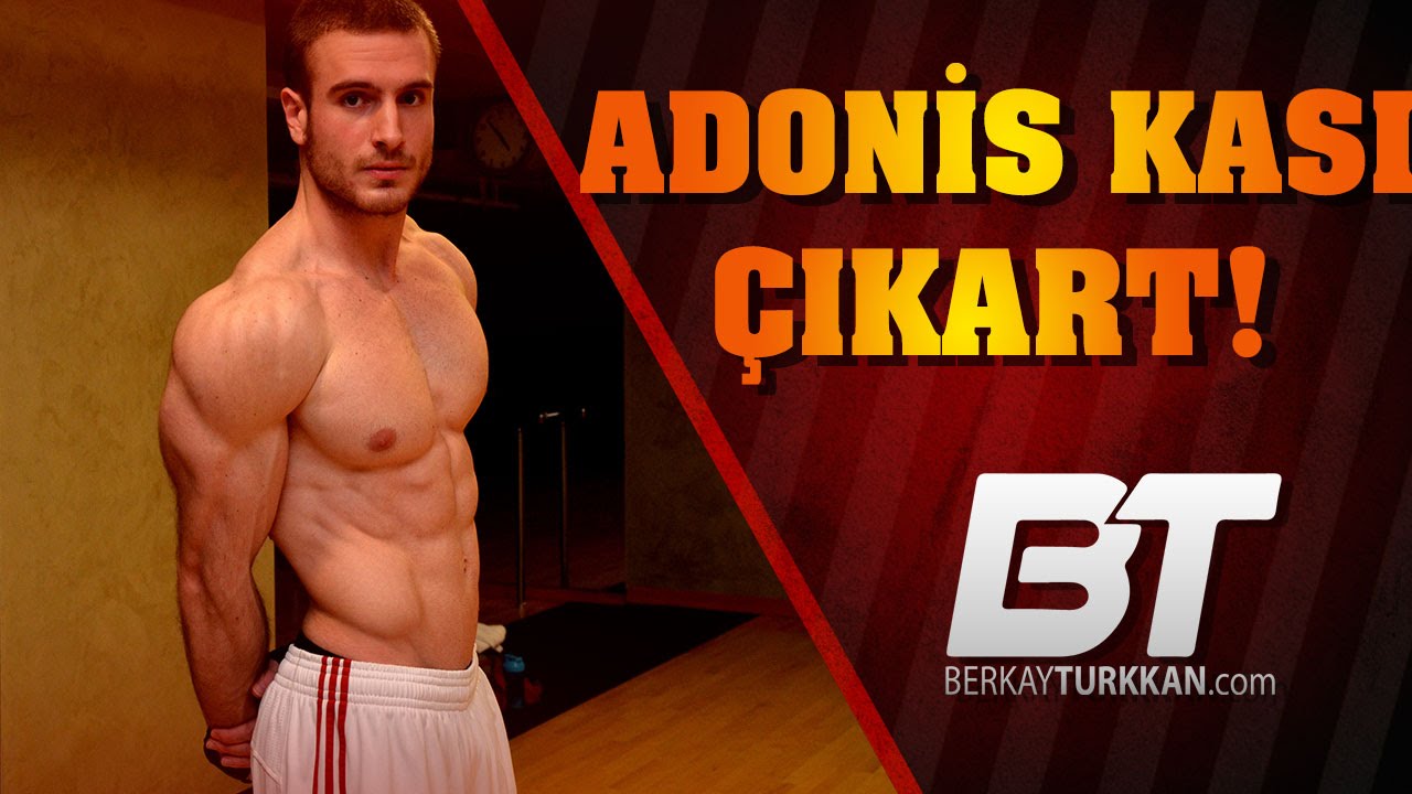 Adonis Kası Nasıl Yapılır | Mutlaka Bilmeniz Gerekenler
