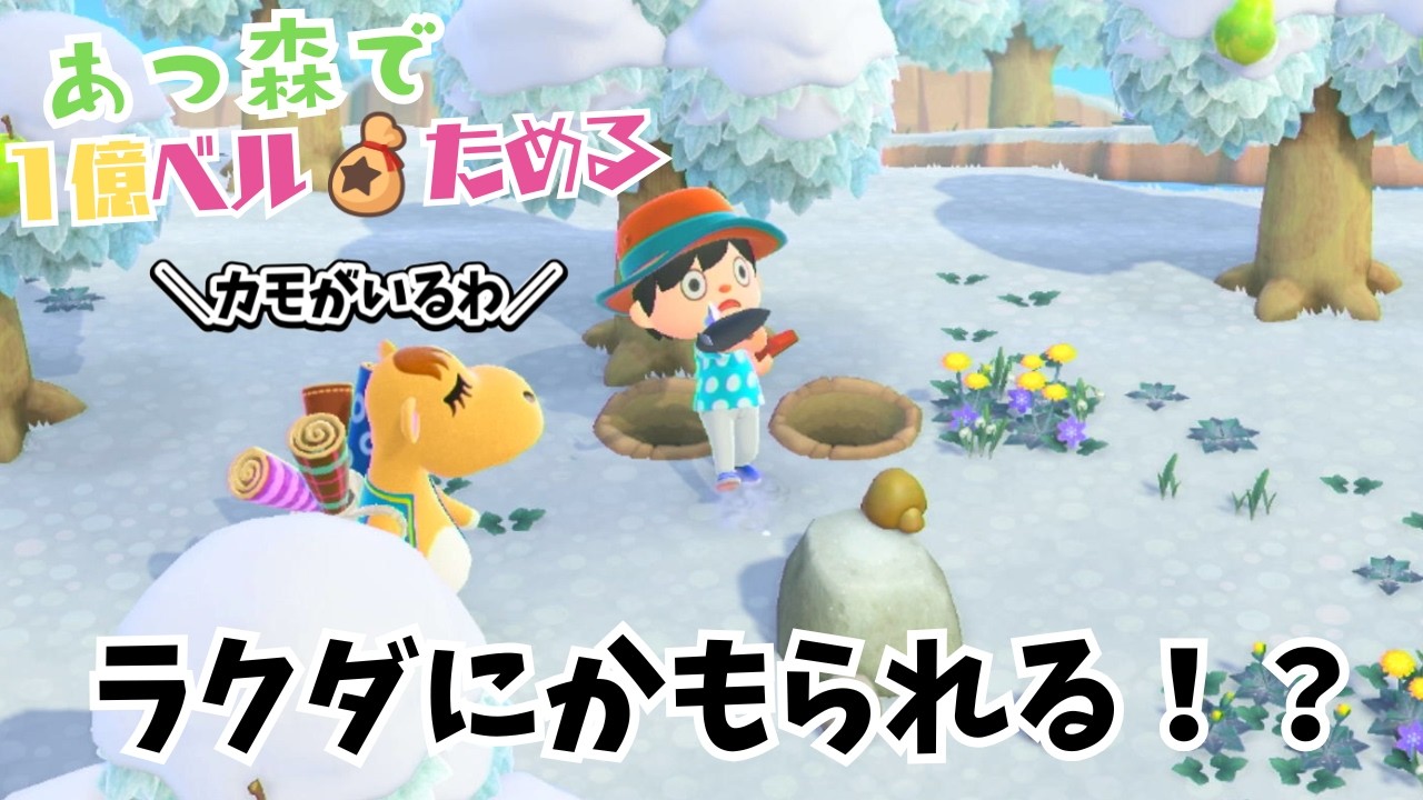 【あつ森】ノースリーブラクダにかもられる　3日目　#あつまれどうぶつの森