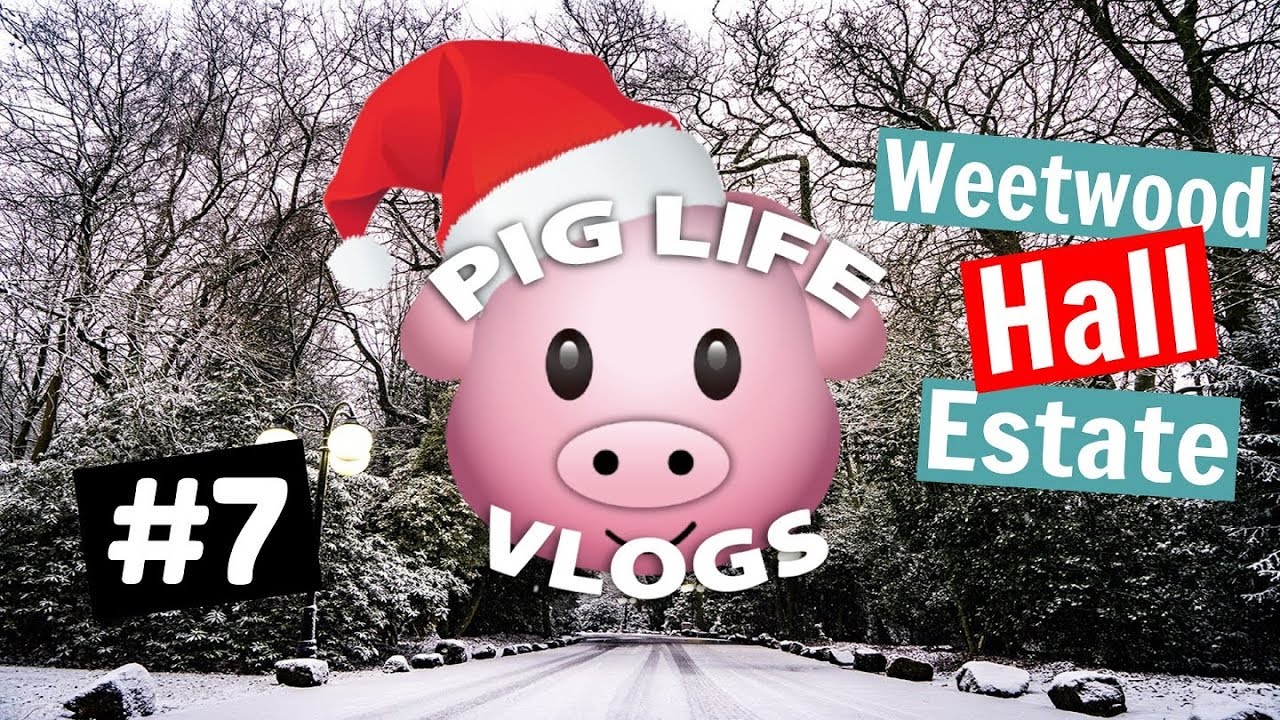 Pig Life Vlog - Weetwood Hall's Wedding Fayre!