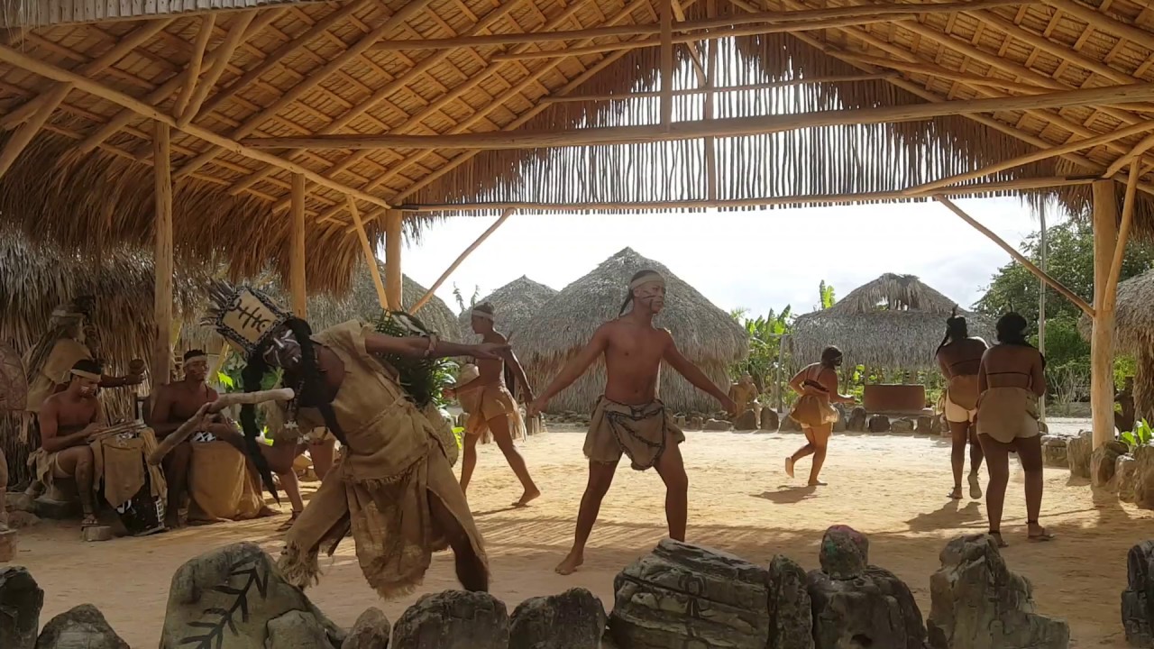 DANZA TAINA (ADVENTURE BOOGUIES)
