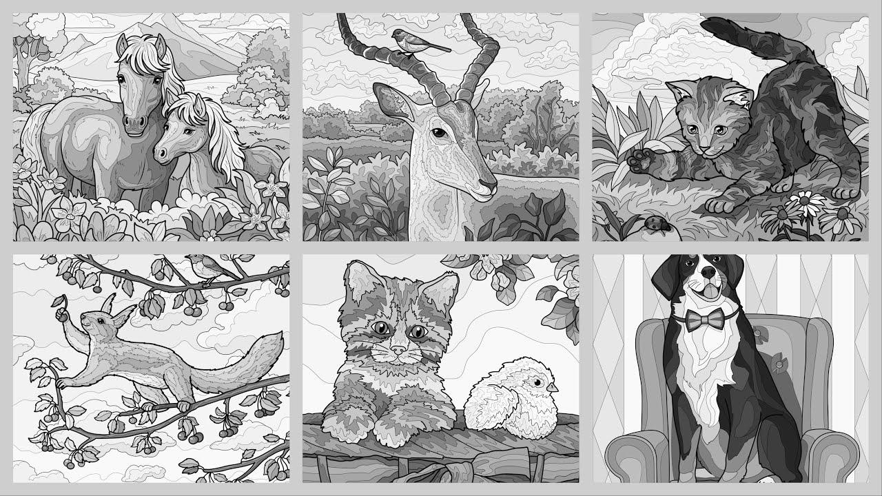 Color by Number Animal Moments of Calm Hey Color app Online Game #coloringbook