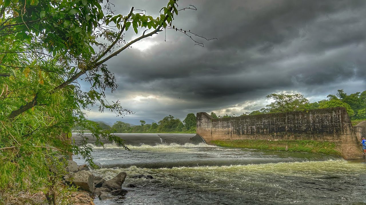Saiu alguns peixes na barragem do rio - pesca de barranco
