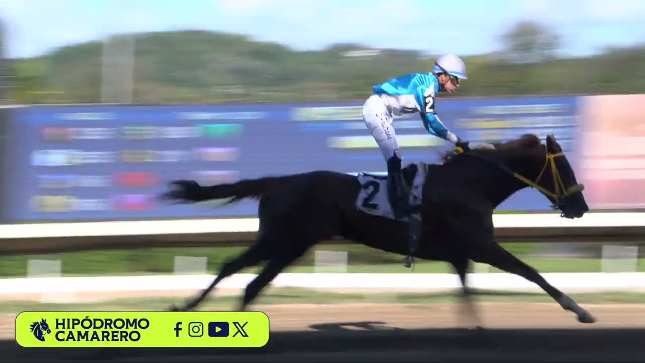 CARRERA 4 - 20/MARZO/2026 (RECOMMENDED)