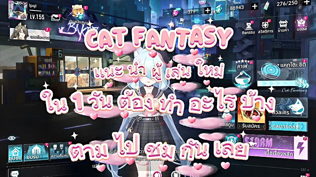 cat fantasy เเนะนำผู้เล่นใหม่ ใน 1 วันต้องทำอะไรบ้าง ตามไปชมกันเลย