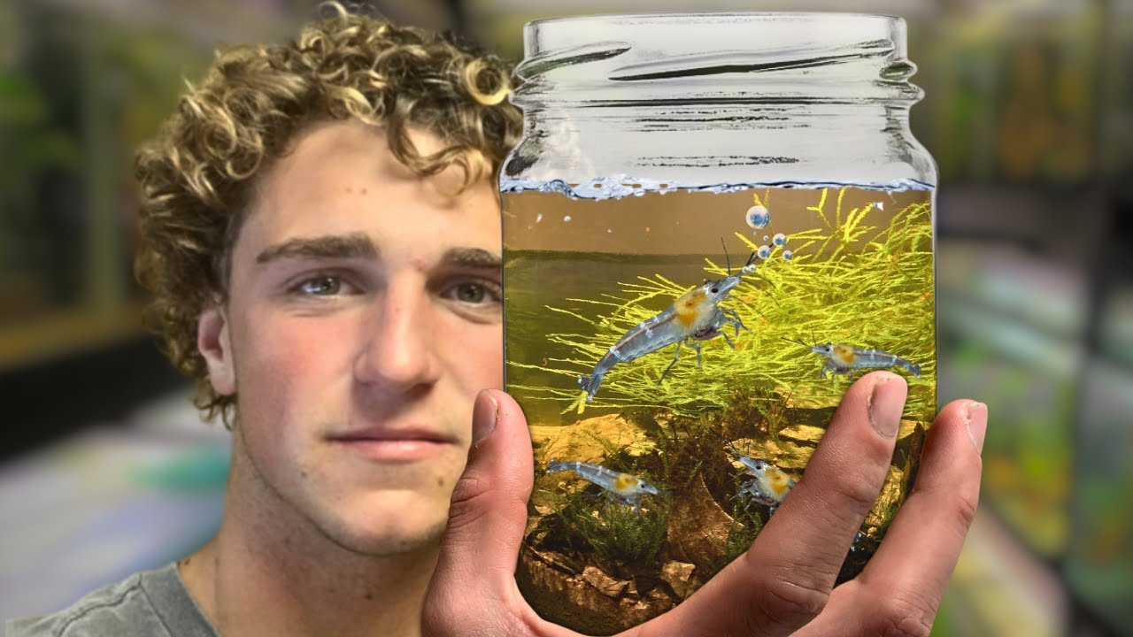 I Made a Mini Ecosystem in a Jar!