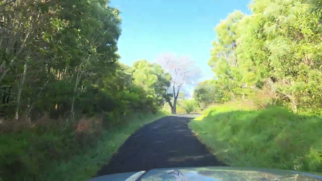 Mauna Loa Road Drive - almost full, and boring.  February 6, 2026