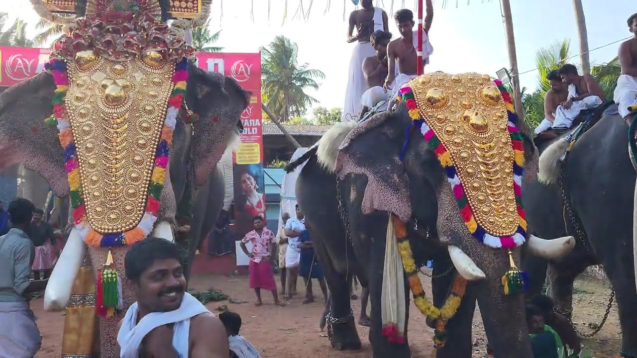 ചെറുശ്ശേരി കുട്ടൻ മാരാരുടെ ഉഗ്രൻ ഒരു മേളം #hinduculture #viralvideo #trendingvideo #chendamelam 