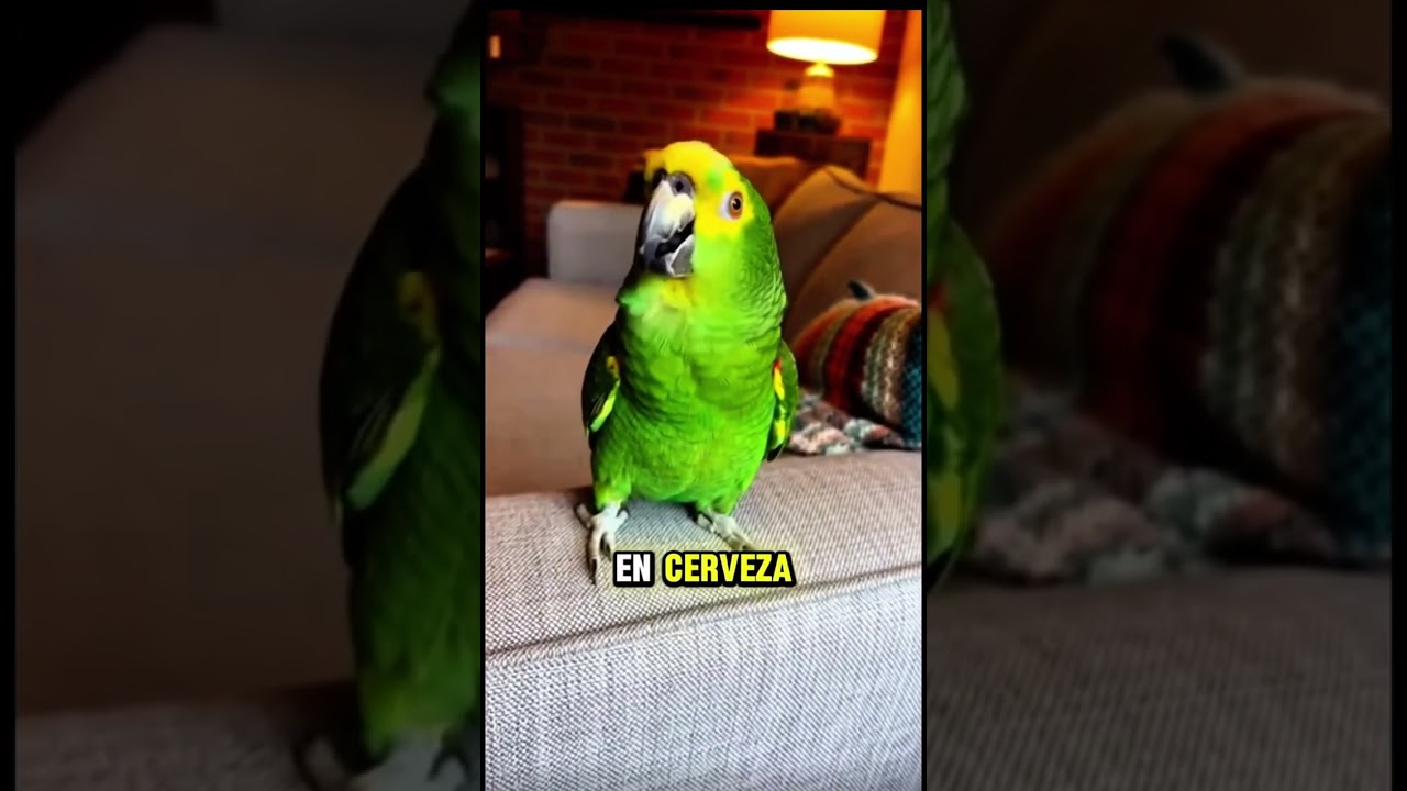 Empress do el año con lo mejor de paco #parati #humor #mexico #funny #reels #shorts #youtubeshorts 