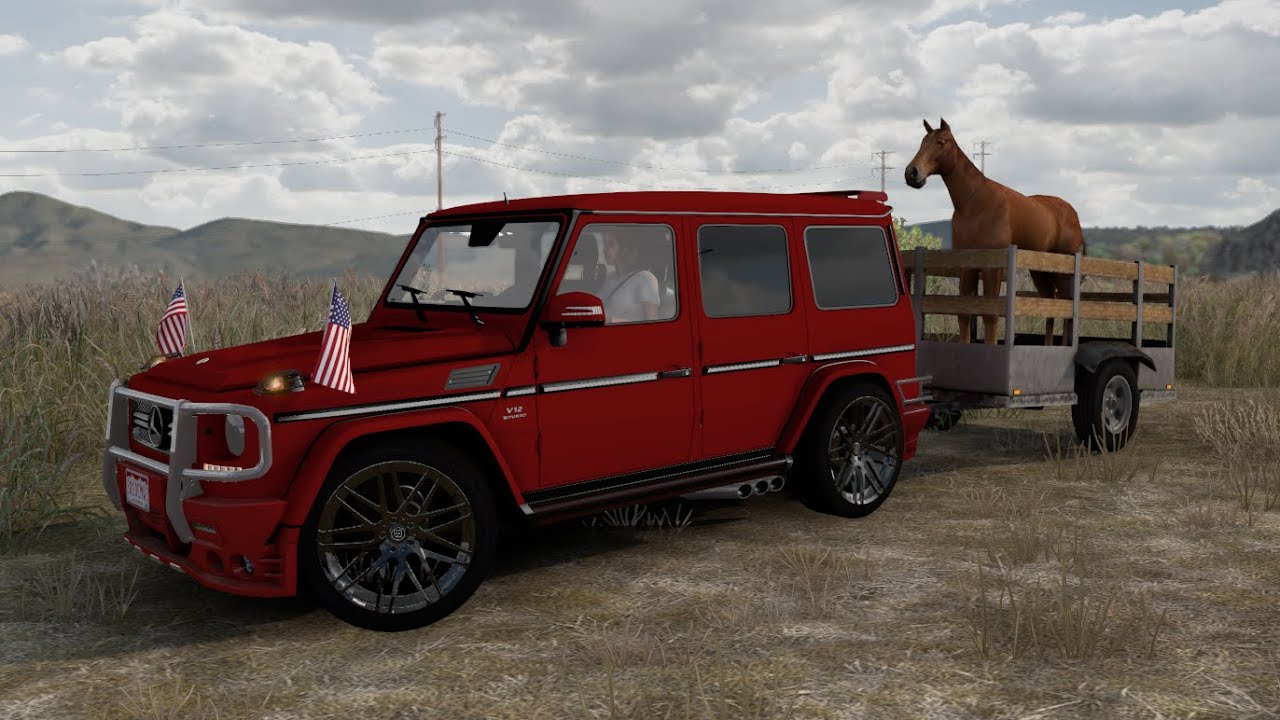 Mercedes-Benz W463 G65 AMG illegal driving - a horse in the US (ATS)