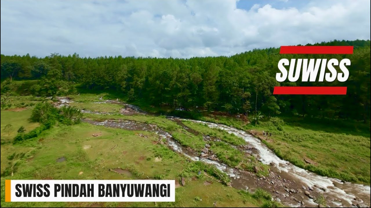 WISATA VIRAL : SUWISS SONGGON BANYUWANGI