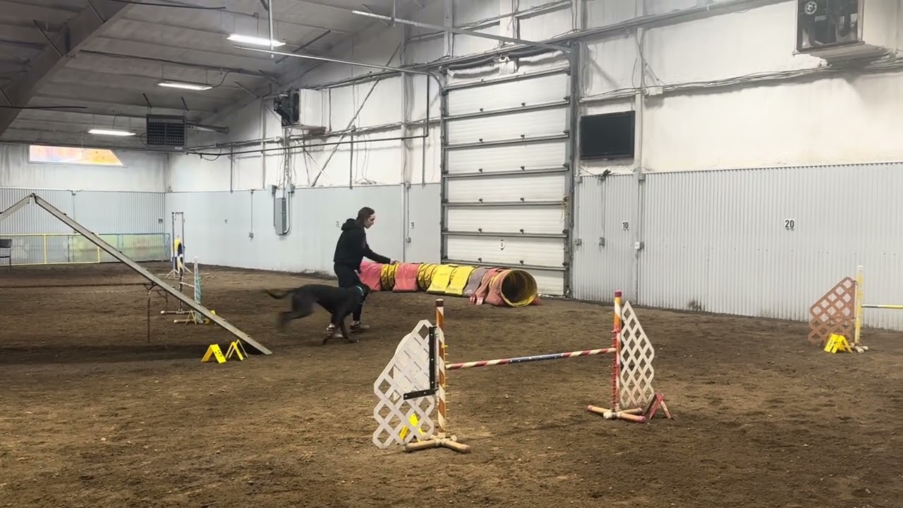 Kona UKI at home 80x60 agility 1 