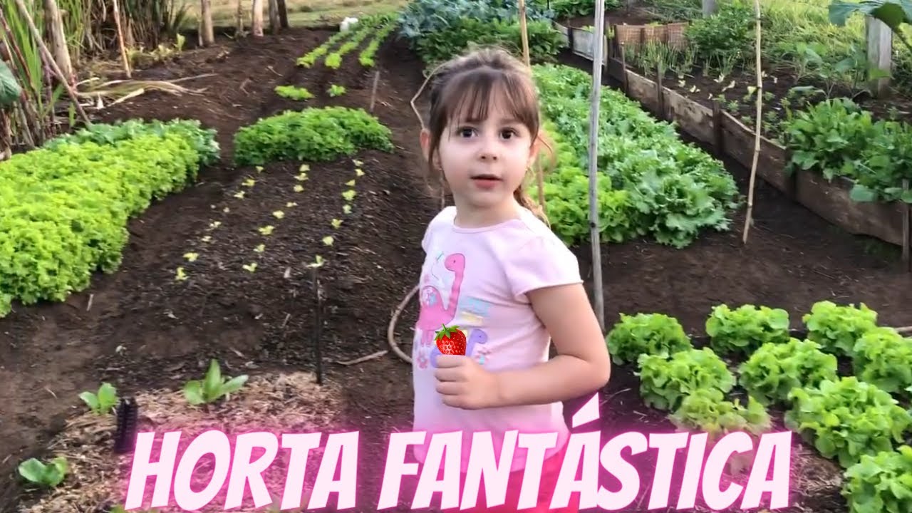 A horta dos sonhos: Julinha mostrando as belezas da natureza