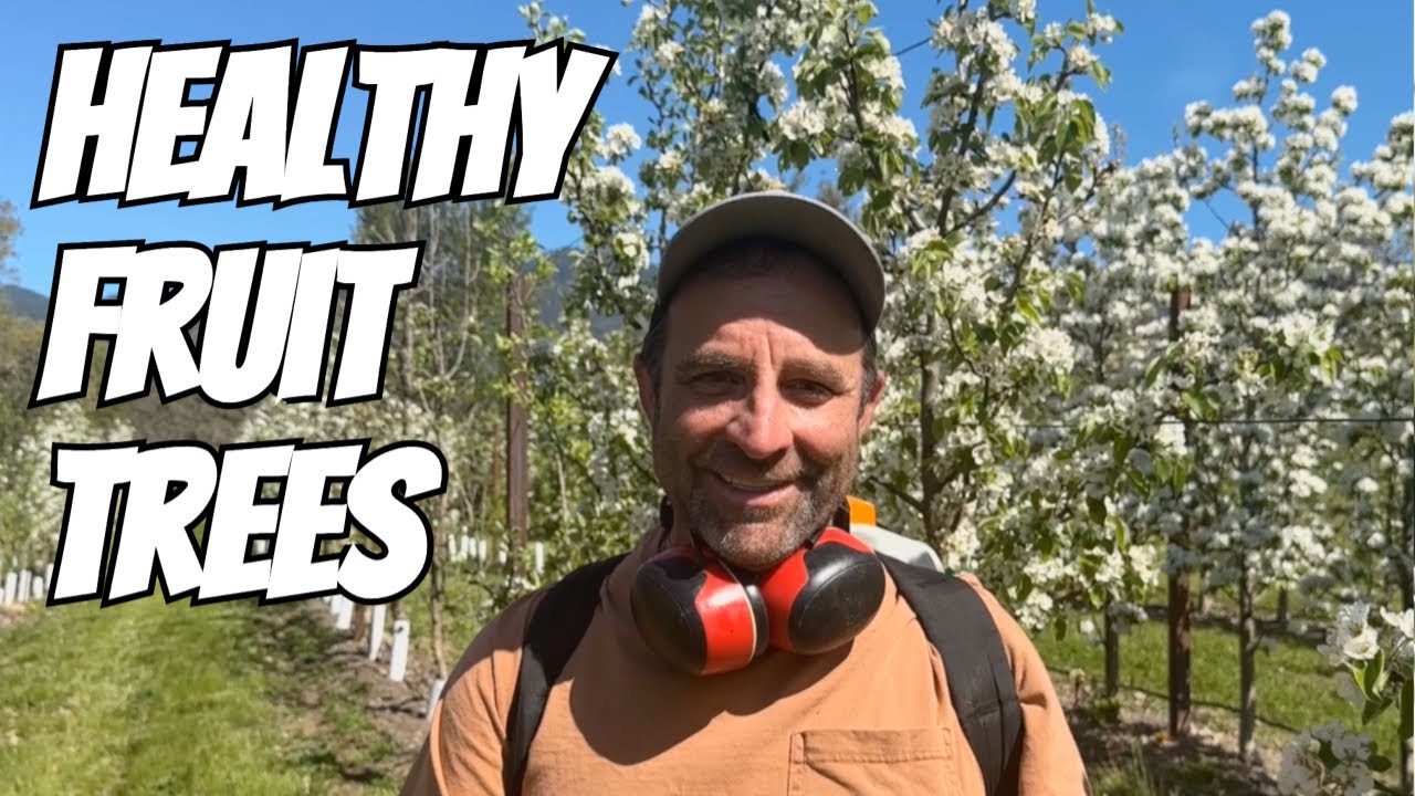 Protect Precious Fruit Trees From Disease!