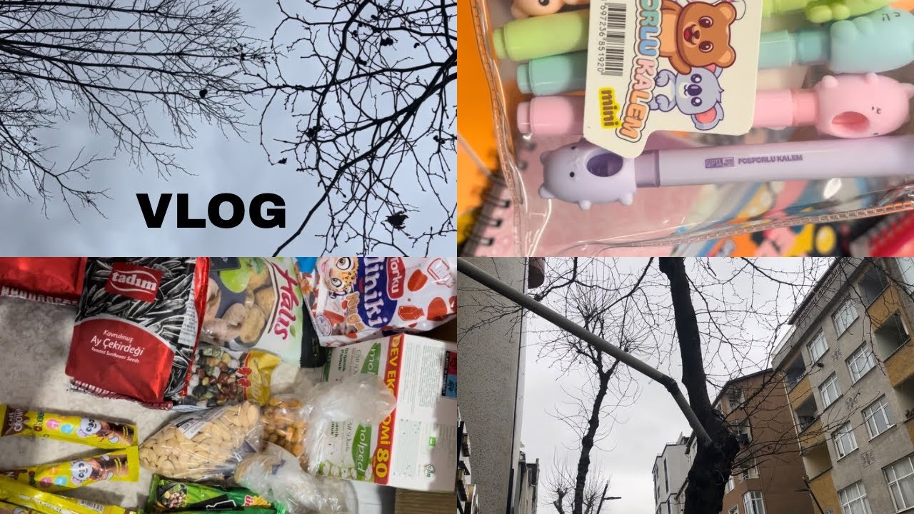 VLOG✨Bim turu-Alışveriş #alışveriş #bim #indirim #bimaktüel 