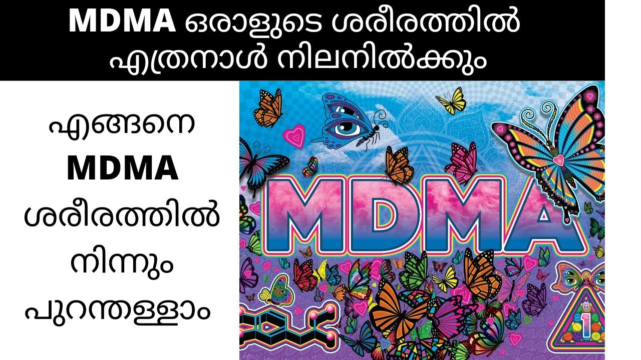 MDMA ശരീരത്തിൽ എത്രനാൾ നിലനിൽക്കും/എങ്ങനെ MDMA ശരീരത്തിൽ നിന്നും പുറന്തള്ളാം! @mindsmitra