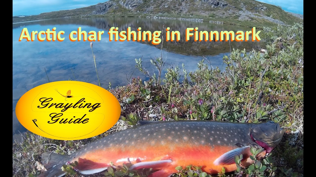 Arctic char fishing trips in Finnmark, Raudun kalastusta Finnmarkissa