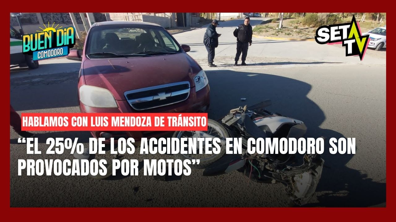 PREOCUPACIÓN POR EL AUMENTO DE ACCIDENTES DE TRÁNSITO: 