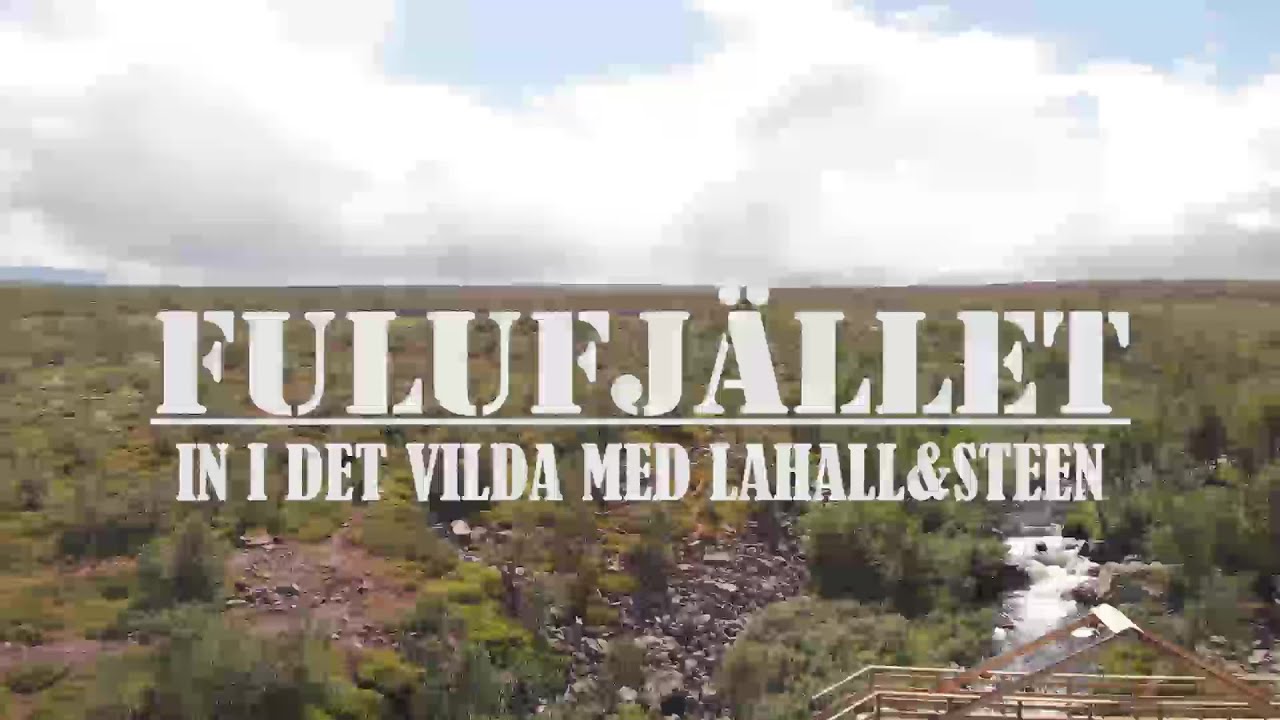 Vandring i Fulufjällets Nationalpark - Del 1