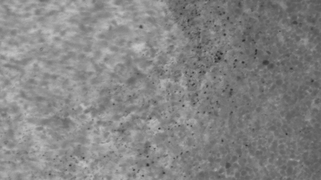 Deposition and erosion of material during migration of a silt ripple