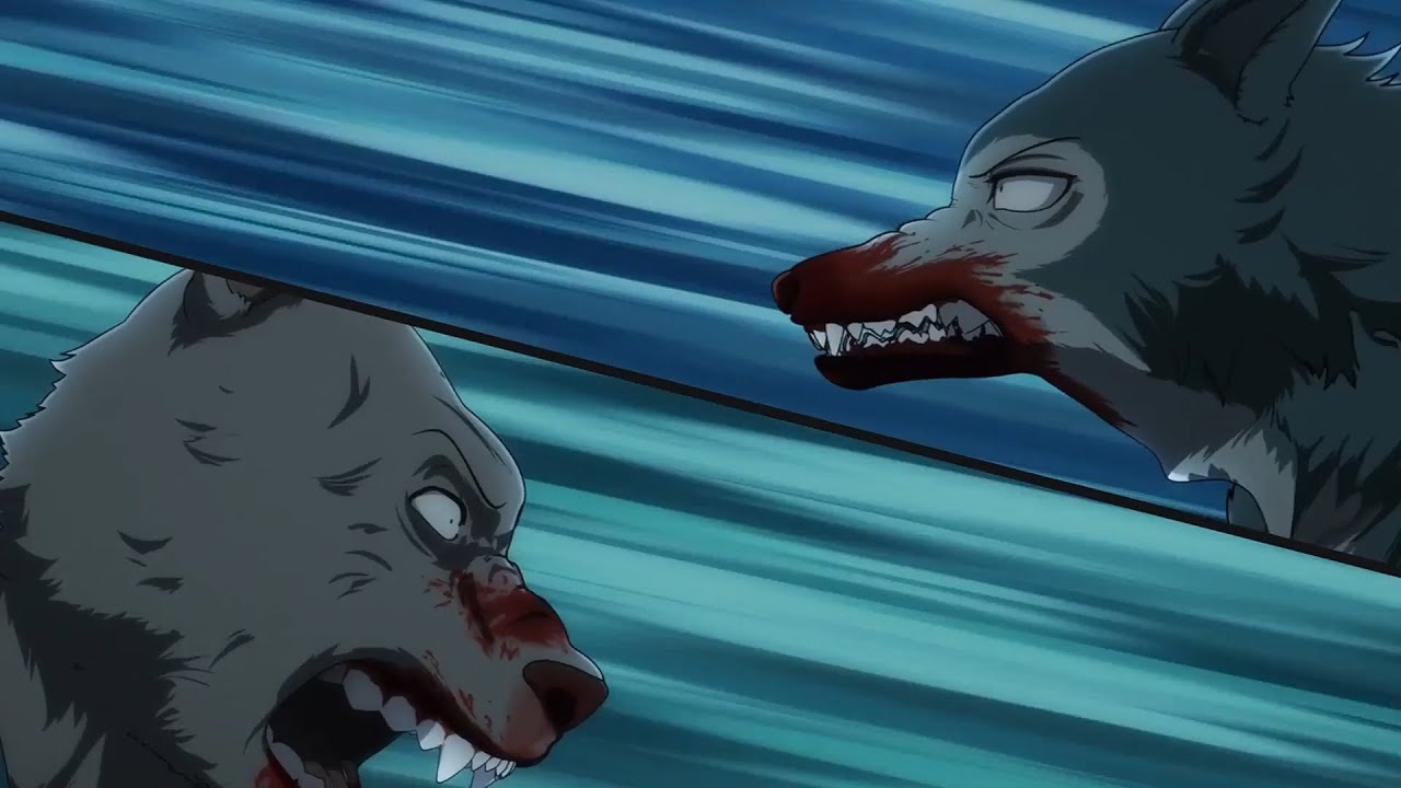 Legosi vs Riz (BEASTARS Season 2 ビースターズ Final Battle)