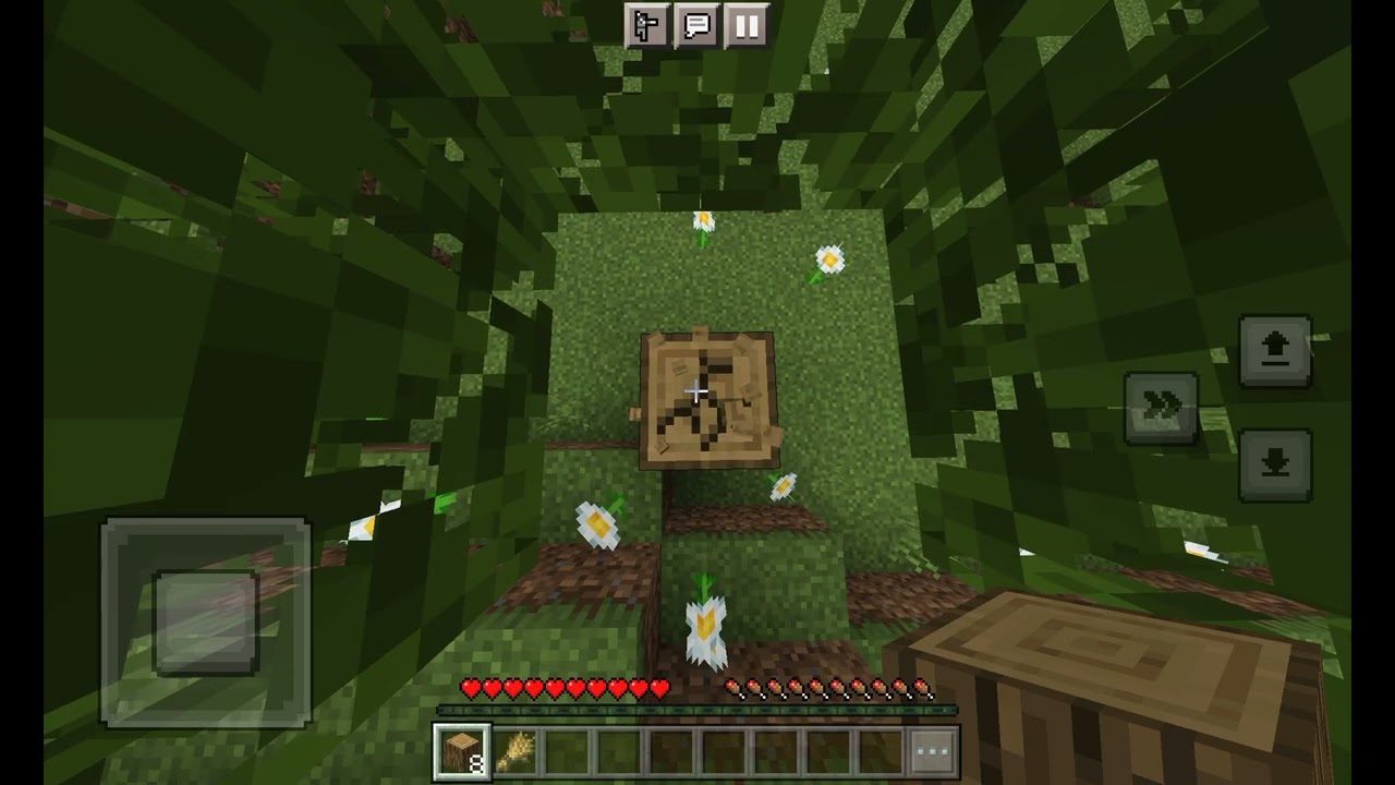 REPRISE DE VIDÉOS(SPEEDRUN MINECRAFT)67