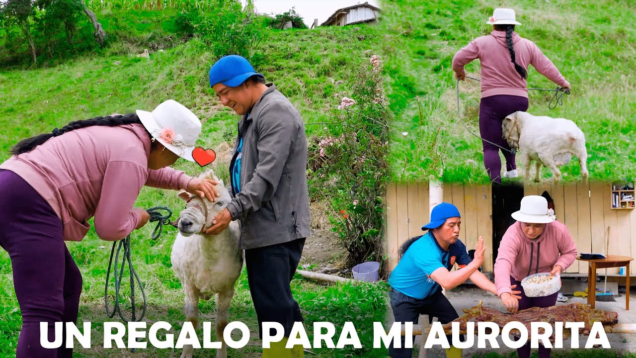 Compr&eacute; un borrego para mi Aurorita | Don Lucho
