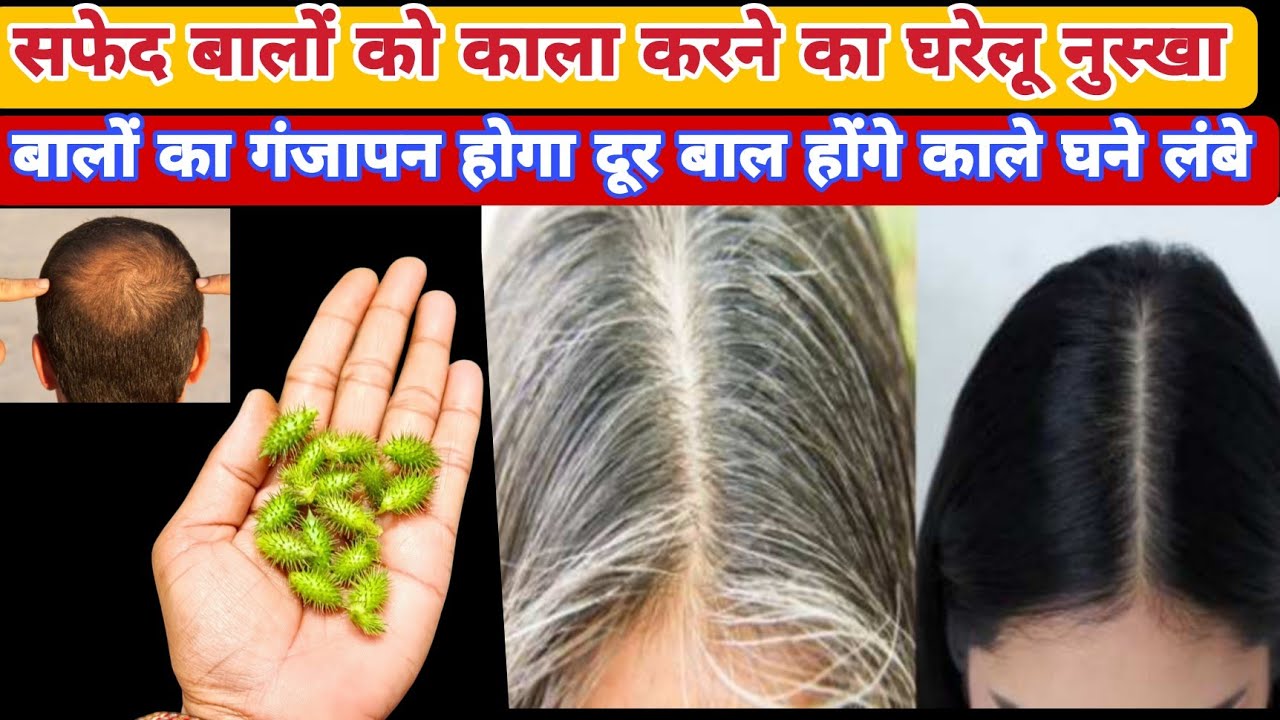 सफेद बालों को काला लंबा  चमकदार बनाने का घरेलू नुस्खा छोटा धतूरा का कमाल#home remedy to growth hair