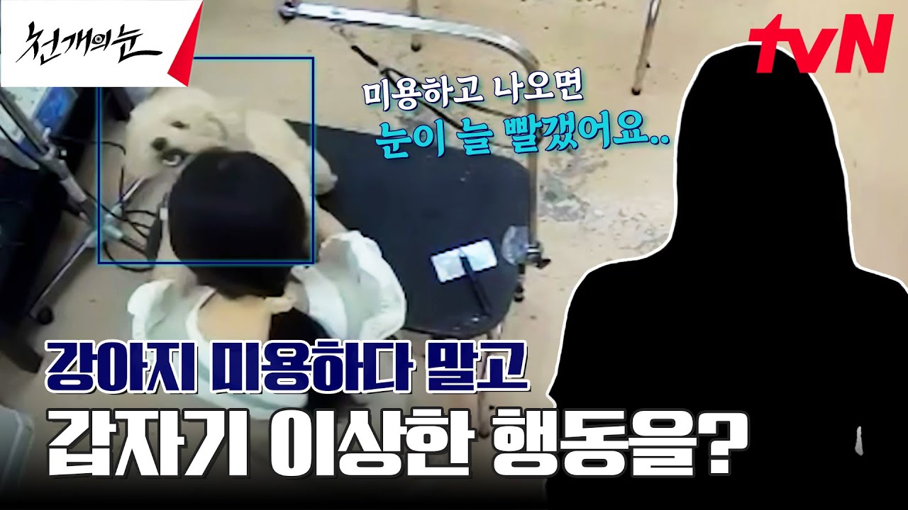 인기 애견 미용실의 실체 포착ㄷㄷ 미용하고 나면 우리 강아지 눈이... #천개의눈 EP.1 | tvN 240826 방송