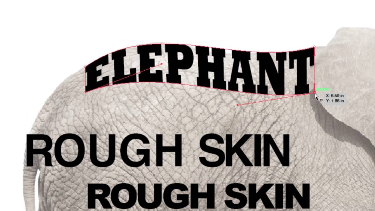 Animal Calligram Tutorial