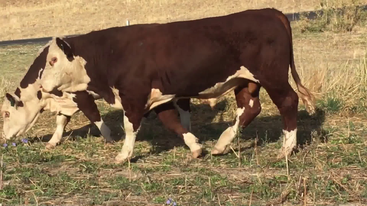 Lot 24 L164