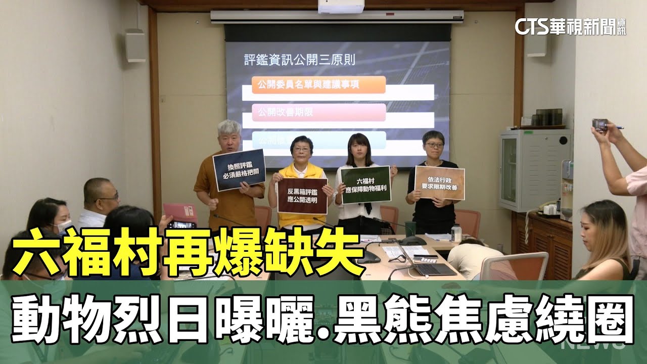 六福村再爆缺失　動物烈日曝曬.黑熊焦慮繞圈圈｜華視新聞 20230707