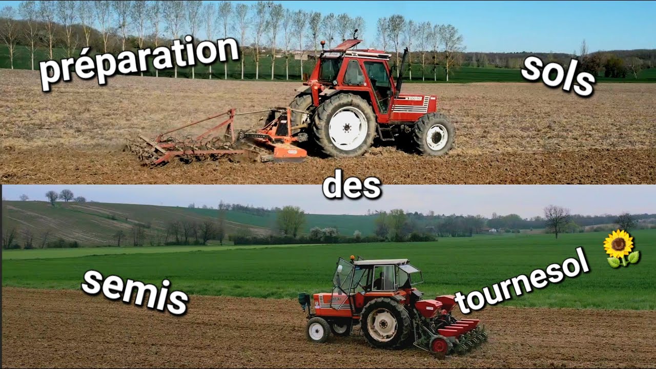 🌻Préparation des terre et semis des tournesol 2023🌻