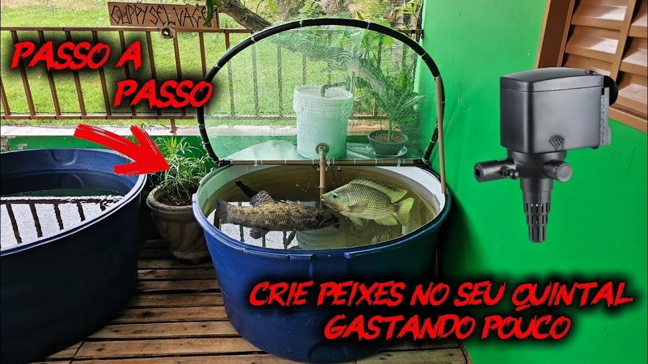 MEU NOVO SISTEMA DE CRIAÇÃO DE PEIXE, FAÇA VOCÊ TAMBÉM GASTANDO POUCO!