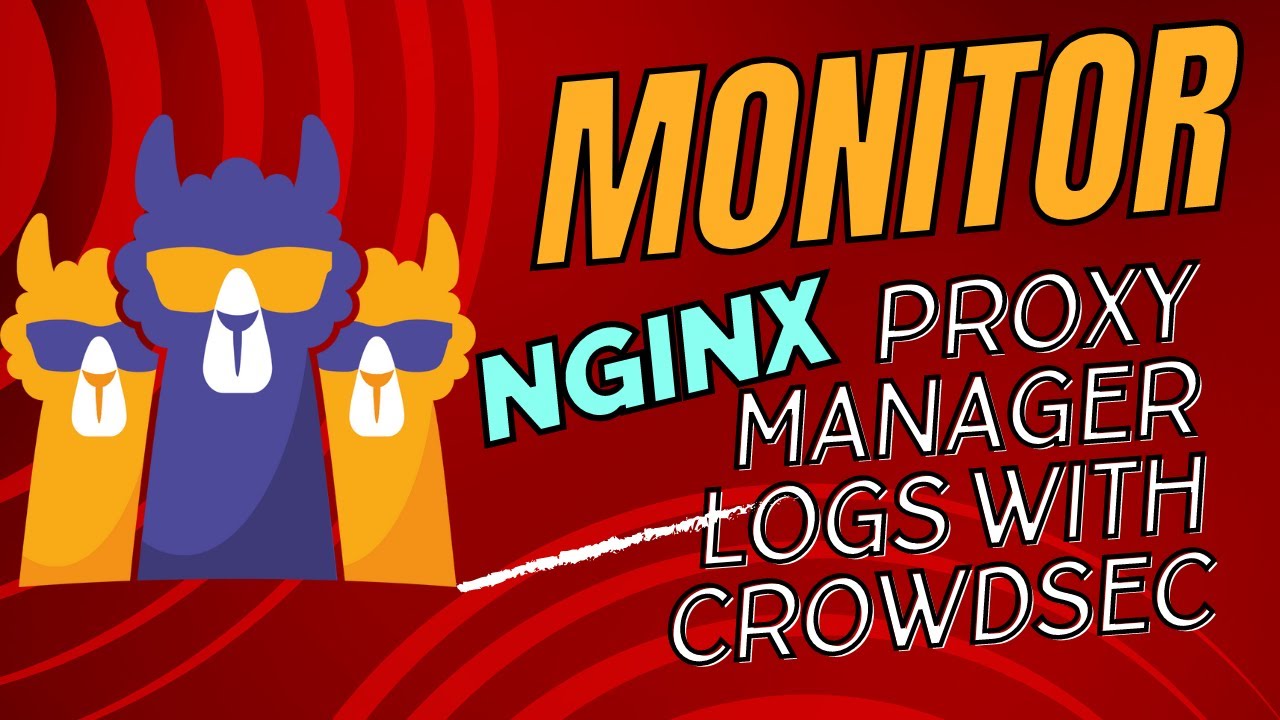 Monitor and Parse Nginx Proxy Manager Proxy Hosts Logs with Crowdsec