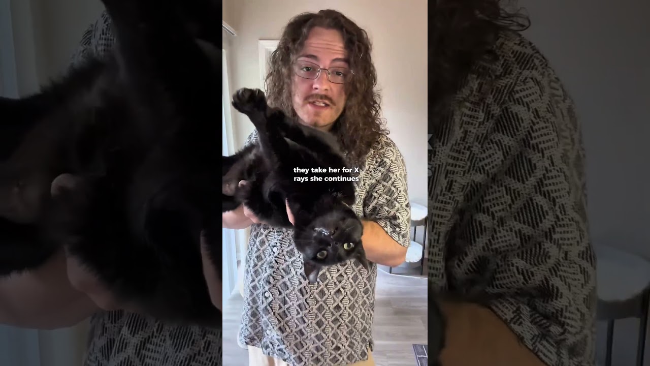 My cat got a mental health diagnosis