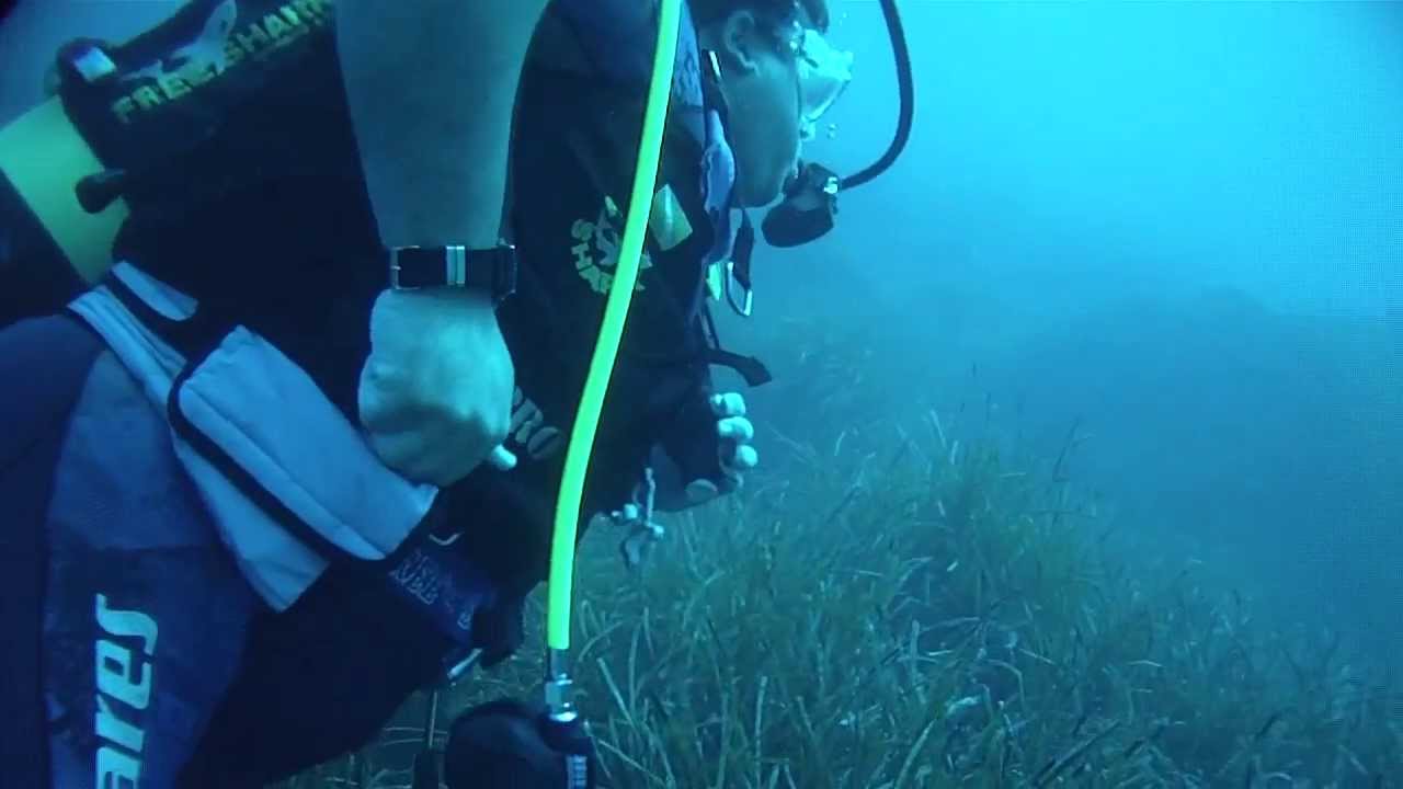 Amphibian - Isola di Cirella (diving)