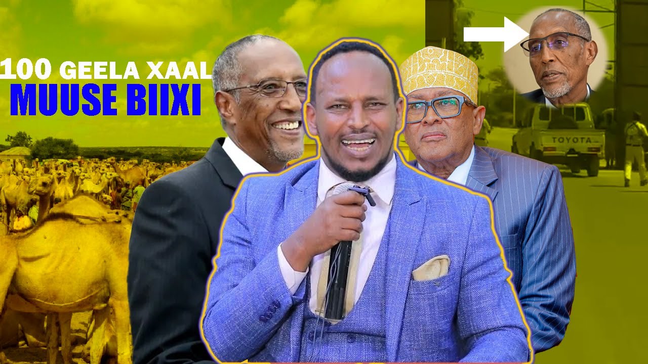 Xog Muuse Biixi oo la siiyey 100 Geele oo XAALA Rasaastii lagu riday shalay Go,aanka beesha ARAB SL?