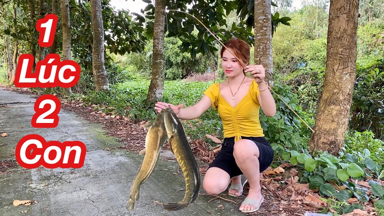 Cắm Câu Cá Lóc Trên Sông Ly Ngô Trúng Mánh 1 Lúc 2 Con Cá Khủng