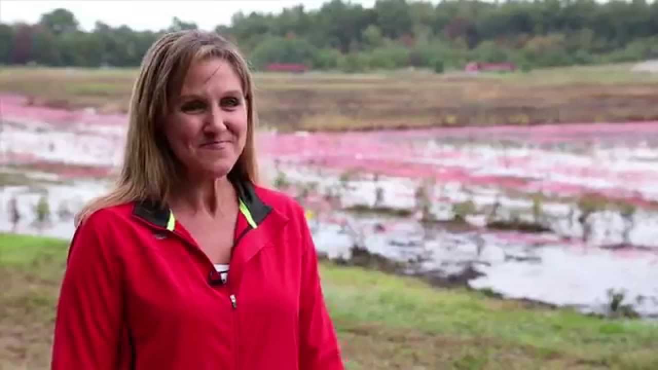 Cranberry-‐Growing: A Family Affair