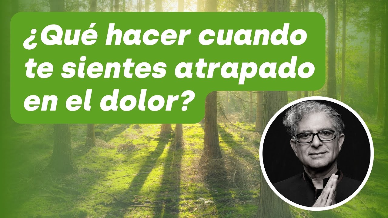 Reflexiones para conquistar tu LIBERTAD EMOCIONAL 💓🪁